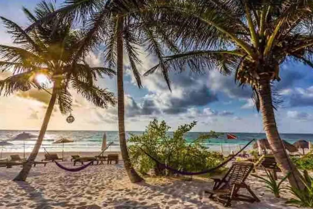 Luxury Apartment With M Benz And & Driver Included Akumal