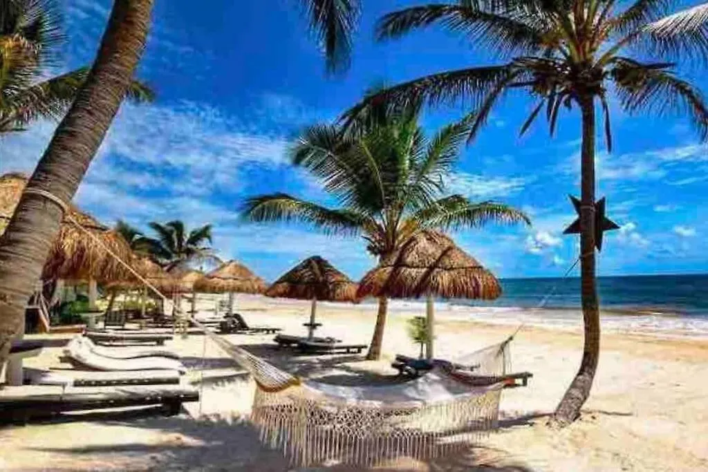 Luxury Apartment With M Benz And & Driver Included Akumal