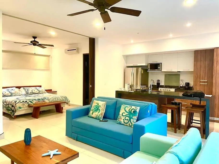 Luxury Apartment With M Benz And & Driver Included Akumal